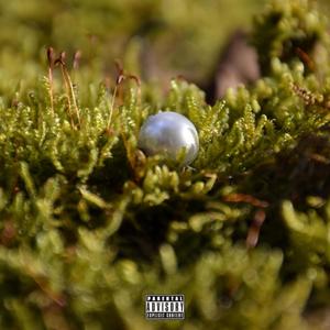 PEARL(feat. Bknott) (Explicit)