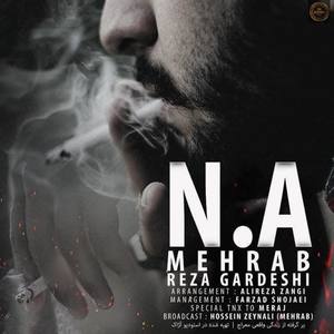 N.A (feat. Reza Gardeshi)