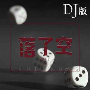 落了空 (DJ版)