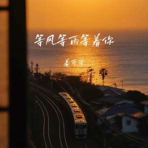 等风等雨等着你封面