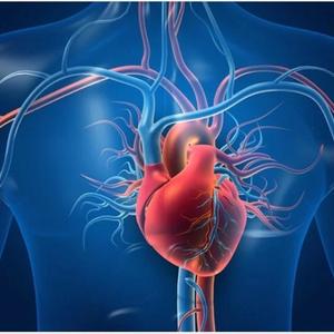 From The Heart (feat. (Hed P.E.), Kottonmouth Kings, OPM & DJ Immortal) (Explicit)