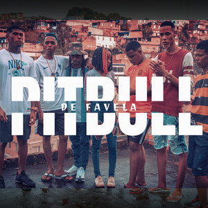 Pitbull de Favela (Explicit)