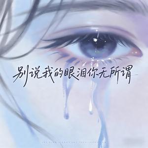 别说我的眼泪你无所谓(余情未了)封面