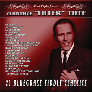 20 Bluegrass Fiddle Classics