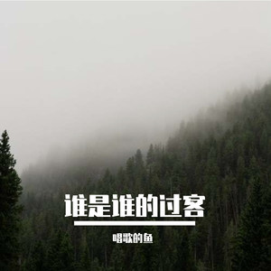 谁是谁的过客