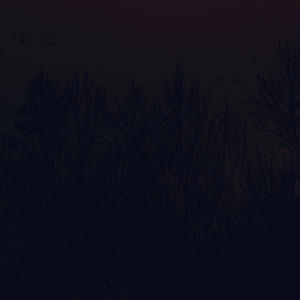 **** Talker (Explicit)