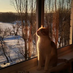 得吃进行曲(塞门)-DJ小涛