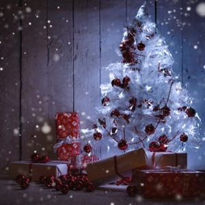 LIGHT UP THE SEASON 1