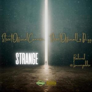 Strange (feat. StreetOfficialLoDizz) (Explicit)