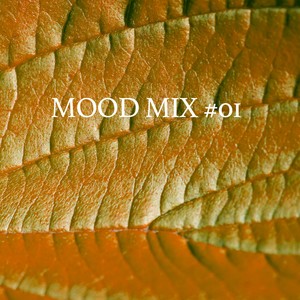 Mood Mix #01
