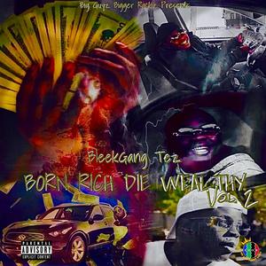 Born Rich Die Wealthy, Vol. 2 (Explicit)