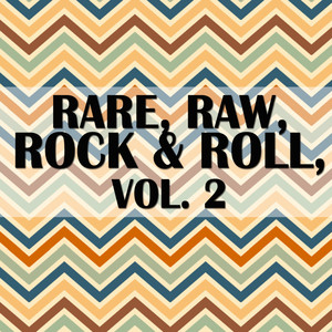 Rare, Raw, Rock & Roll, Vol. 2