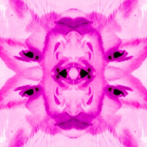 Kiss & tell (Explicit)