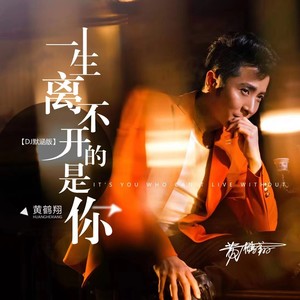 一生离不开的是你 (DJ默涵版)