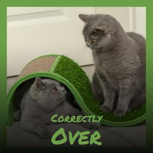 Correctly Over