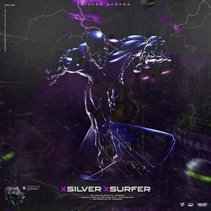 xsilver xsurfer