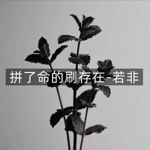 拼了命的刷存在