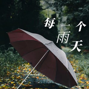 每一个雨天