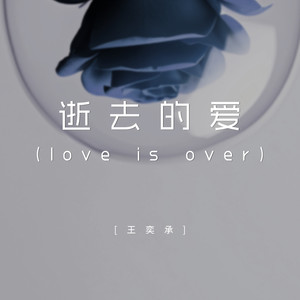 逝去的爱 (love is over)
