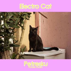 Electro cat