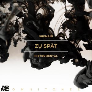 Zu spät (Instrumental)