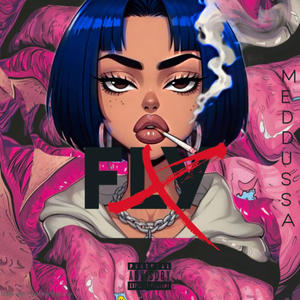 FLY (Explicit)