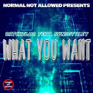 What You Want (feat. Sunset Aley)