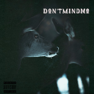 Don't Mind Me (Explicit)