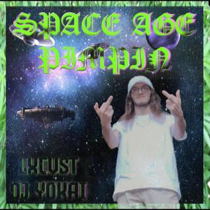 Space Age Pimpin (Explicit)