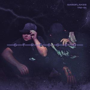 Stressed(feat. Garoflakes) (Explicit)