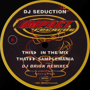 In the Mix (Dj Brisk Remix)