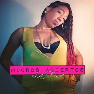 Micros Abiertos