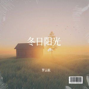 在没有你的城市里-罗云杭