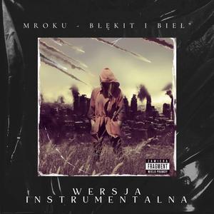 Teraz już wiem (Instrumental)