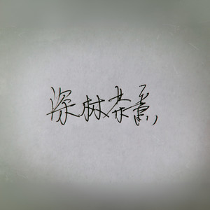 深林茶意