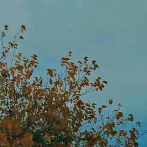 want your attention (Explicit)