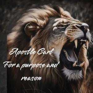 Purpose and a reason