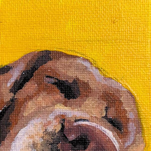 Piku's Dream (feat. Piku)