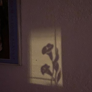 for the better (Demo)
