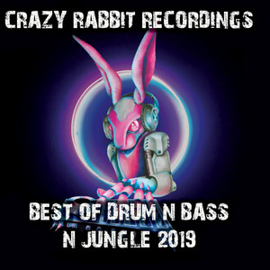 Best of Drum & Bass and Jungle 2019 (Explicit)