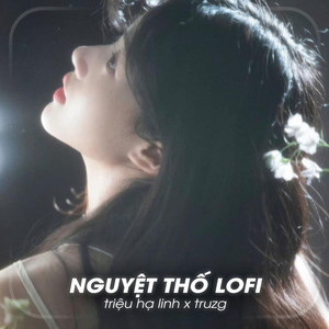 Nguyệt Thố (Lo-Fi)