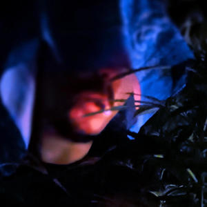 Freestyle-ONESHOT.01 (Explicit)