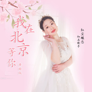 我在北京等你 (舞曲版)