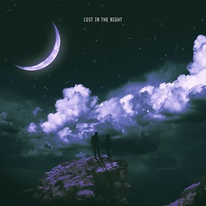 Lost in the Night(feat. Babijig)