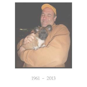 James Gandolfini (Slowed & Reverbed)