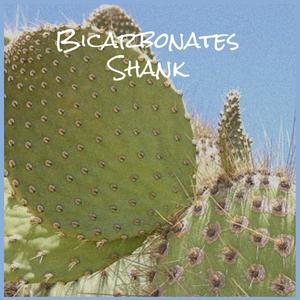 Bicarbonates Shank