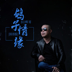 鸽子情缘 (国语版伴奏)