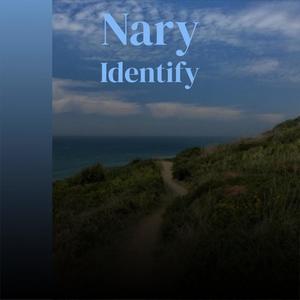 Nary Identify