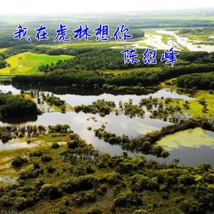 我在虎林想你 (伴奏)