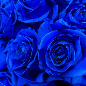 Mudery (feat. 404 peso & Lil los) (Explicit)